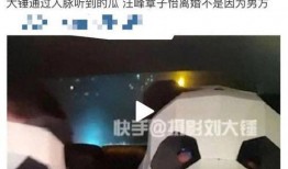 刘大锤爆料大全视频,揭秘娱乐圈幕后真相