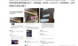 爆料芒果连麦视频大全,揭秘热门明星幕后互动瞬间